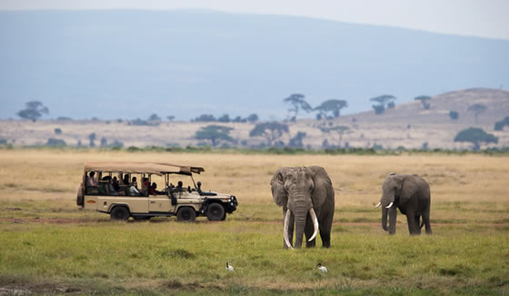 3-Day Masai Mara Safari from Mombasa | Overnights and Safari Game Drives 